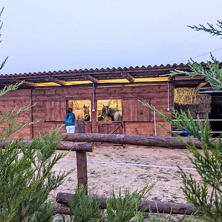 Tenuta Beatrice By Interhome Castell'Alfero